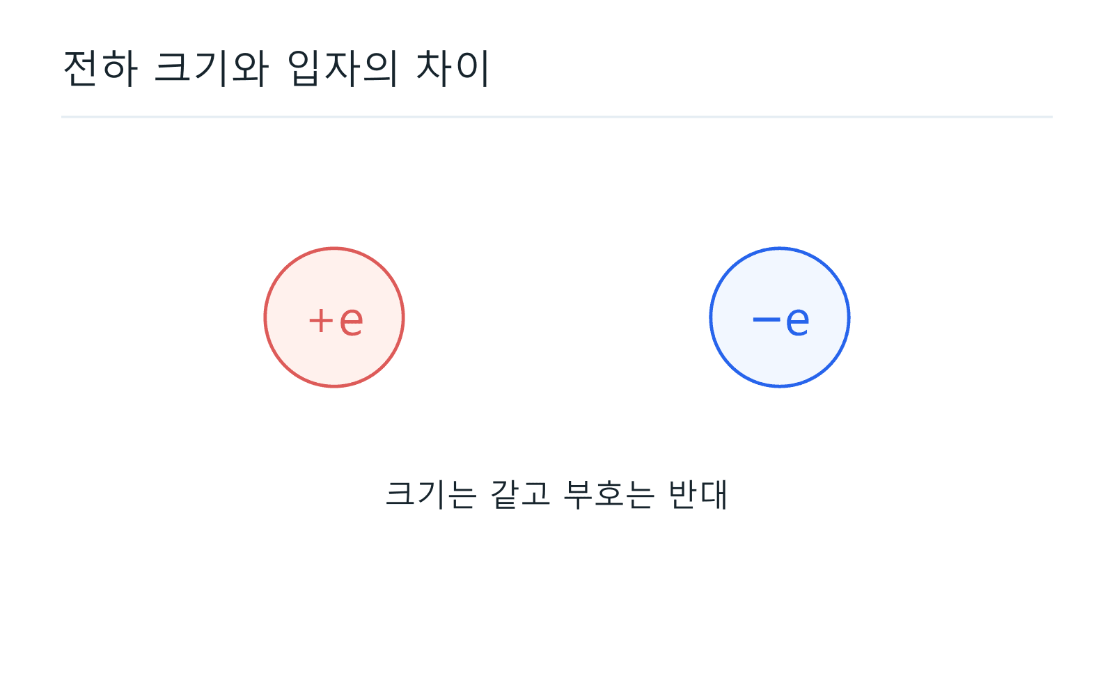 전하 크기와 입자의 차이