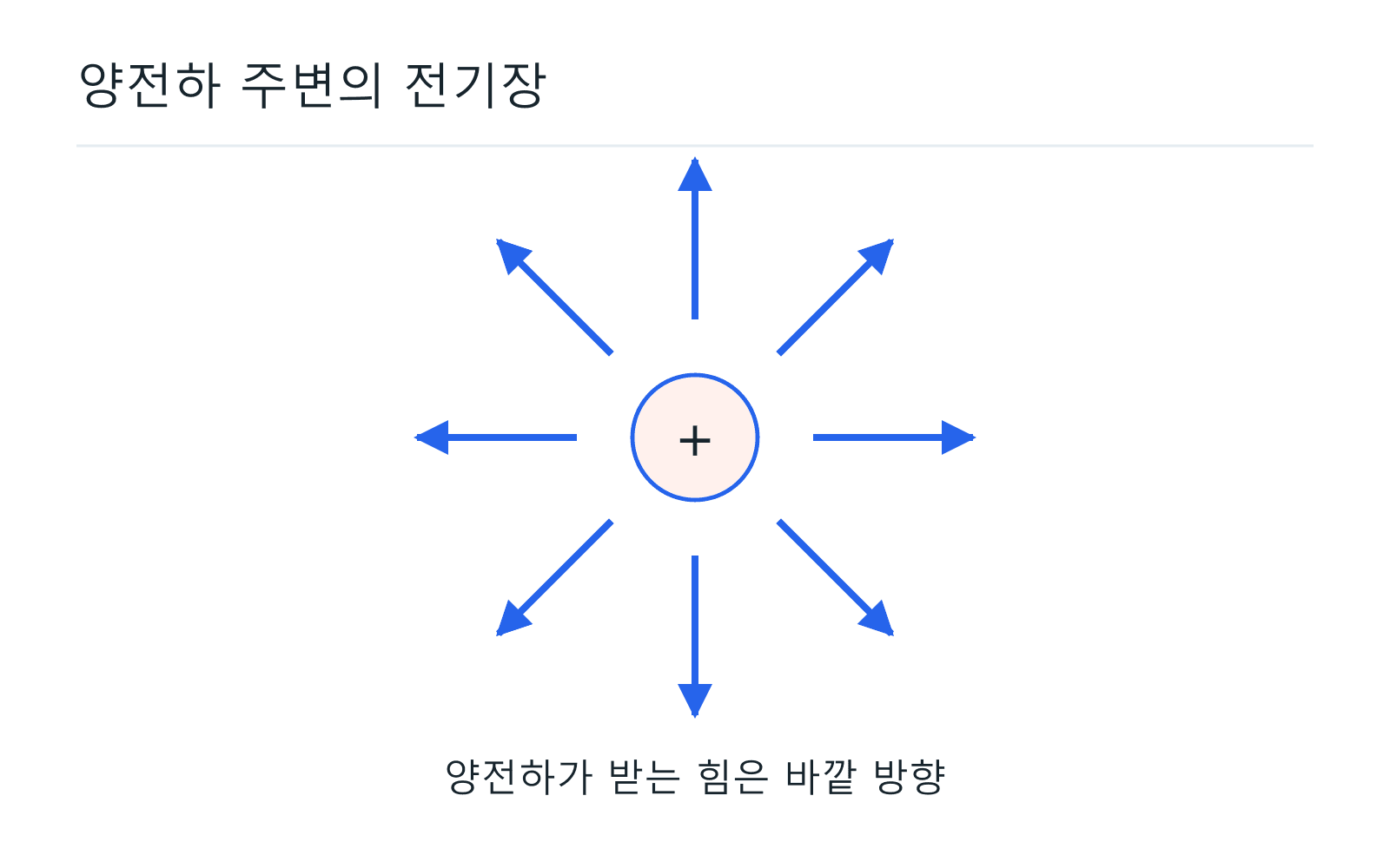 양전하 주변의 전기장